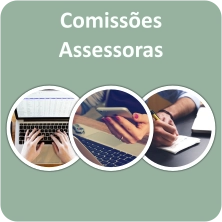 Comissões Assessoras