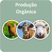 Orgânicos